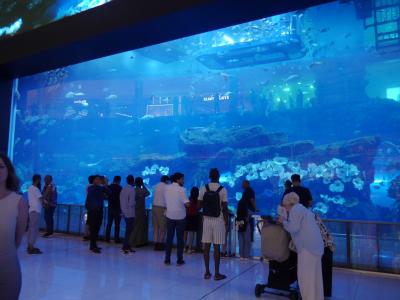 なんでもあるよ