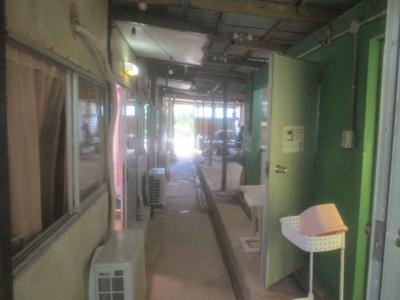 月桃ムーンピーチ