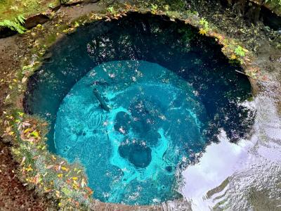 涼を求めて散策