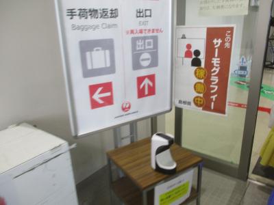 隠岐世界ジオパーク空港