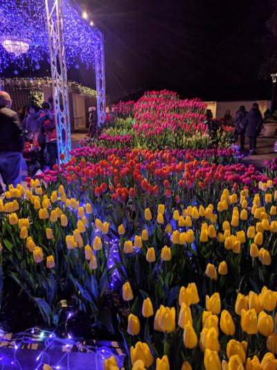 江の島シーキャンドル　サムエル・コッキング苑