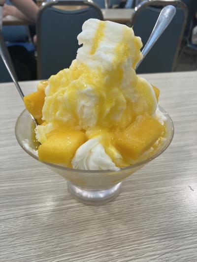 マンゴーに感動！