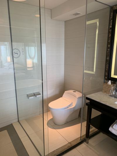 ガラス張りのトイレ