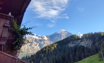 静かにゆったりと過ごすなら