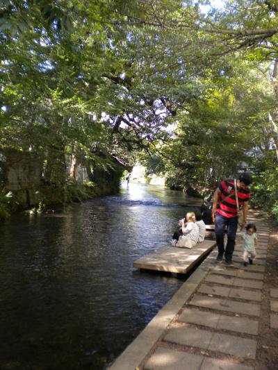 ほたるが行き交う水辺