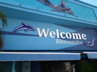 思っていたより見どころが少ない