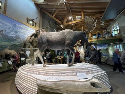 公園内バスツアーに参加しよう