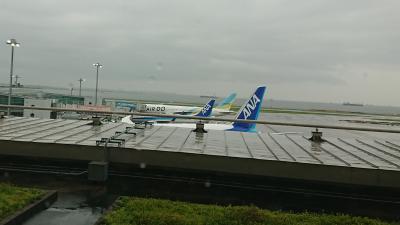 羽田空港T2のA側(北側)に直結している空港内ホテル。