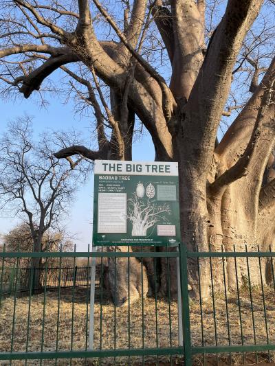 前にお土産屋さんがあります