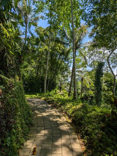 宿泊棟からプールやガーデンに繋がる小道