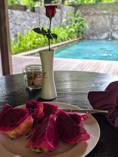 アウトドアキッチンでフルーツを切る