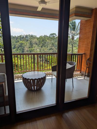 朝は鳥のうた声、午後からはセミのなき声