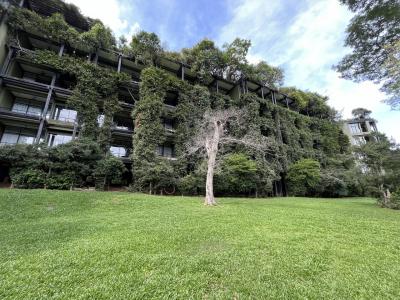 自然と融合したバワのホテル