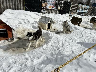 動物との距離が激近な施設