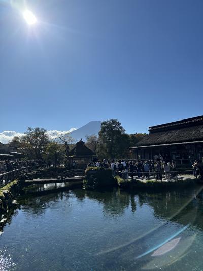 年に何度も行っています