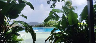 ルネッサンスと組み合わせ、楽しさ倍増！