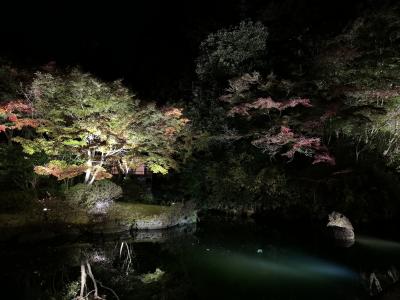 大原や鞍馬へのアクセスに便利