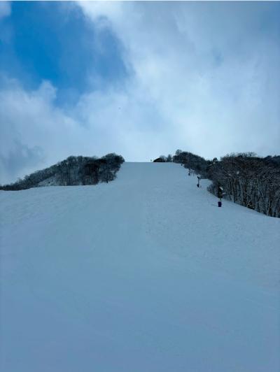 今シーズンは雪の心配なしです(^^)