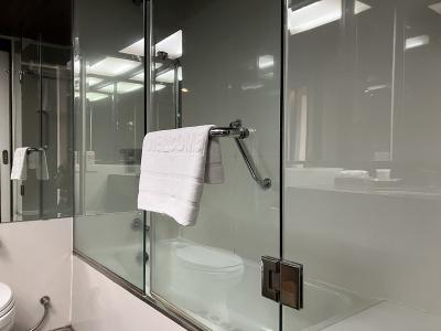 そしてバスタブ、熱いお湯が使えます