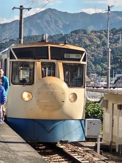 ホビートレィンかわいい