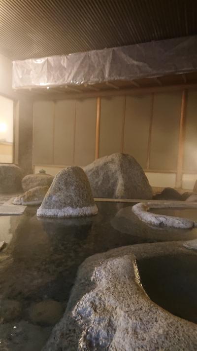 高級老舗旅館だと思う♪優雅な気持ちになり、英気を養わせられたよ。