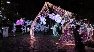 ライトアップが綺麗でした