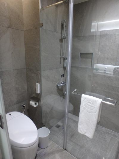 泊まった部屋はバスタブ無のシャワーのみ。水圧は充分だった