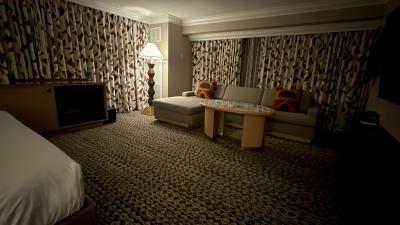 大き目のソファーがあります。