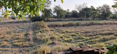 プールから見える地元の風景