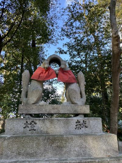 自然の中でよい運動になりました