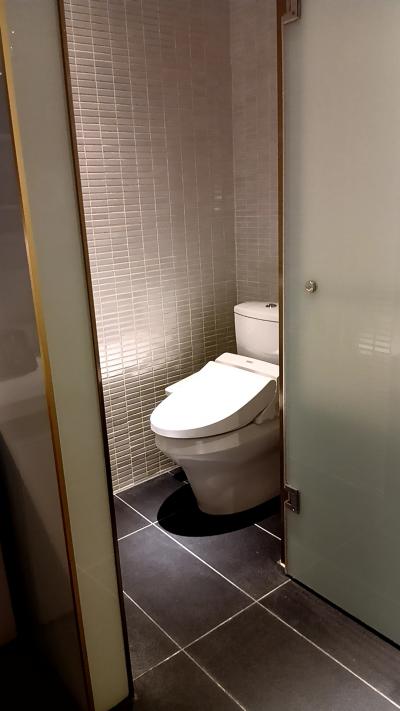 設定いじれば便座も水も温かくできる。紙は流せない。