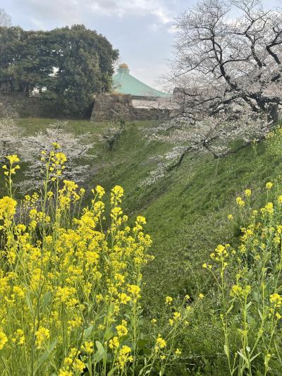 ビギンコンサート