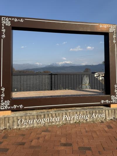 南アルプスが綺麗！花農家さんの花が買えます。