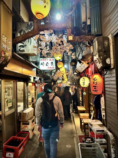 嘗て、『しょんべん横丁』と呼ばれた...戦後直後の足跡を現代に残す...掘っ建て小屋街...（新宿西口商店街／西新宿1丁目）