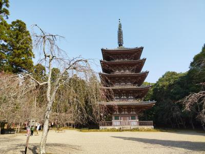 世界文化遺産　総本山　醍醐寺