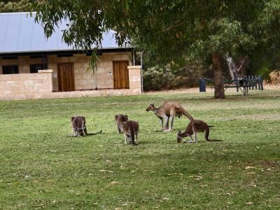 ヤンチャップ国立公園の過ごし方について