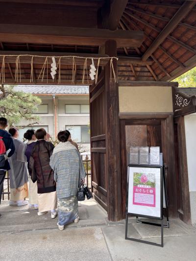 小堀遠州のおそらく椿