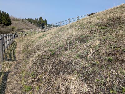 花の季節じゃなければ無にもない