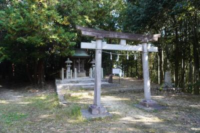 古墳の山を散策するといった楽しみ方です