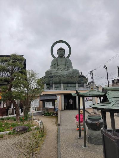 思ったより小さい