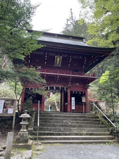 5月5日の例大祭