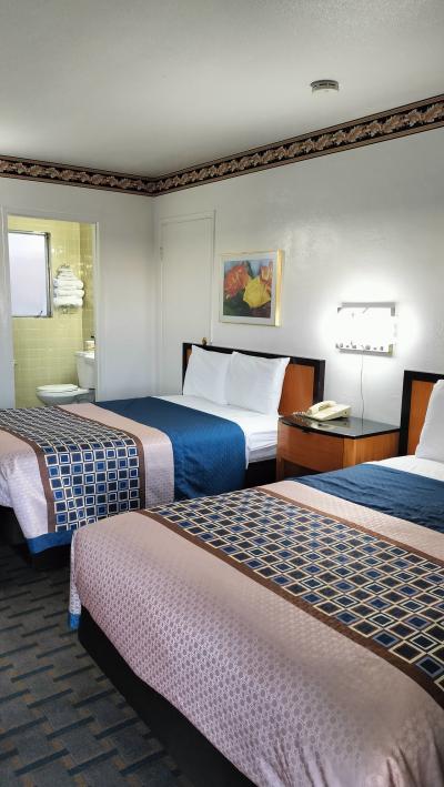 一晩休むには十分です。