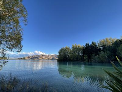 道を隔てた目の前の湖 散歩できます