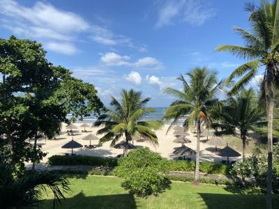 部屋からの眺め。落ち着きます。