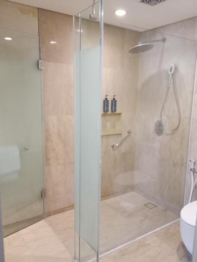 バスルームにバスタブはないがシャワーとトイレは一応 ガラスの