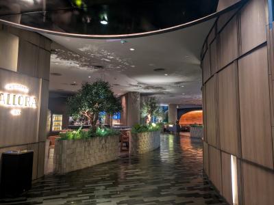 チャンギ空港ホテル