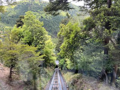 ３１人目で乗車できました
