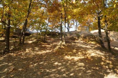 ワイルドな山肌があったり