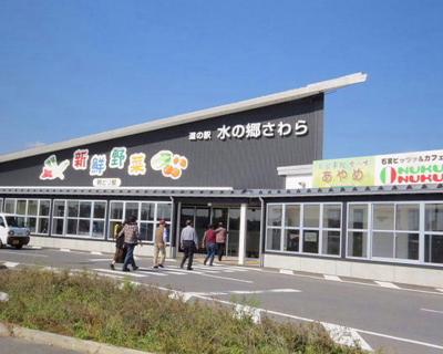 セグロセキレイが見られました。