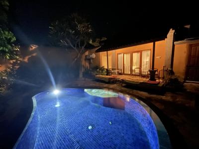 サヌール地区にあるこじんまリゾートリゾート